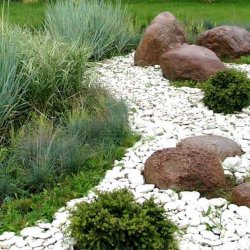 Сад камней в дизайне участка фото